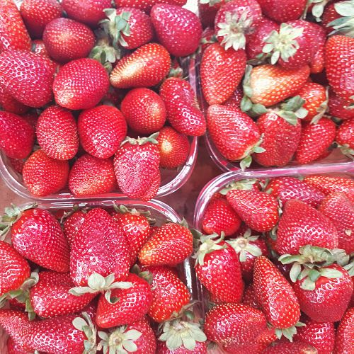 strawberries on clear glass bowl