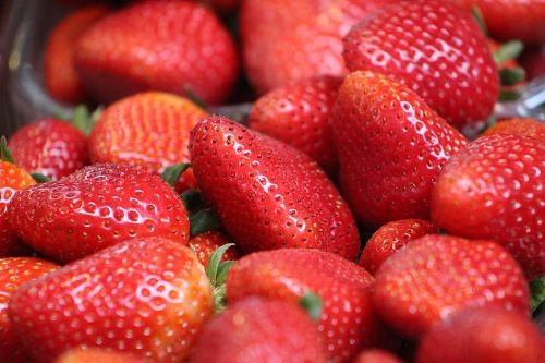 strawberry fruit photography