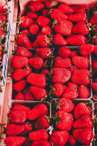 strawberry lot