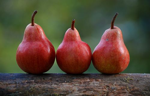 three red pear fruits