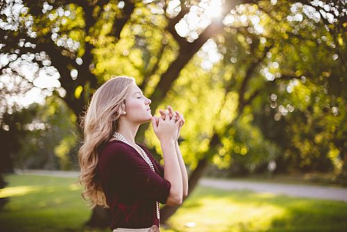 woman praying under tree during daytime