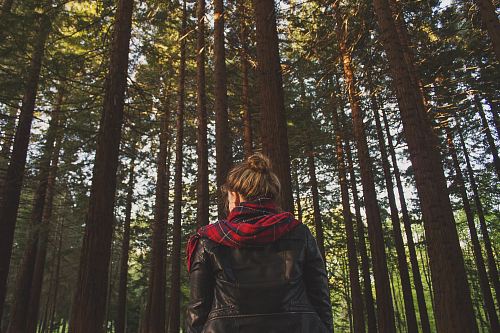 woman wearing black jacket looking at trees