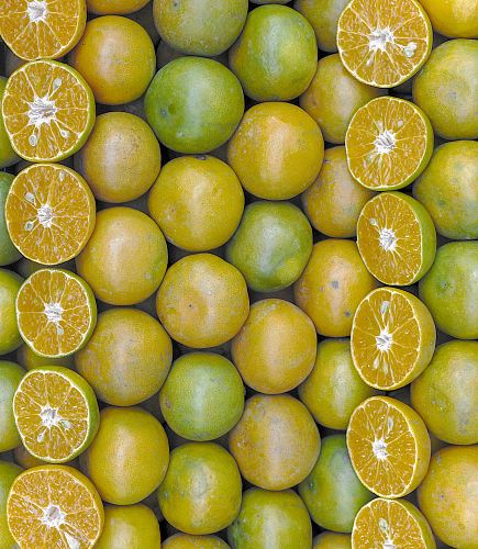 yellow and green lemon fruits