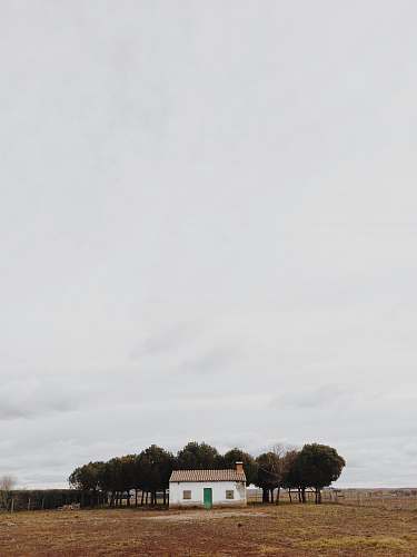 house white house beside trees in front brown field tree