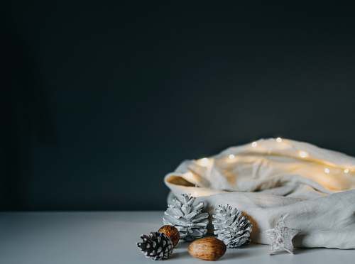 food acorns and seed holiday