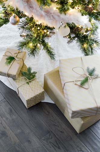 holiday four gift boxes under Christmas tree gift