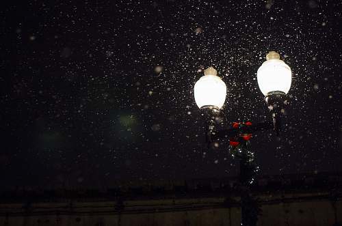 winter low-angle photo of 2-bulb lamp with snow falling during nighttime light