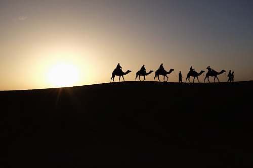 desert silhouette of people riding on camels silhouette