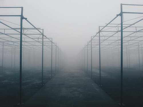 nature architectural photography of foggy metal building frames structure
