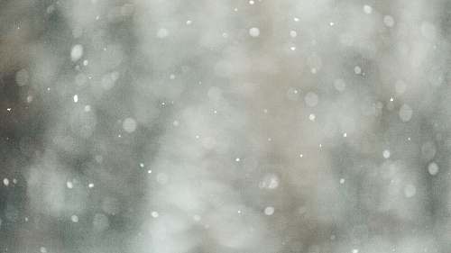 winter bokeh photography of gray lights snow