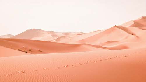 desert landscape photography of dessert orange