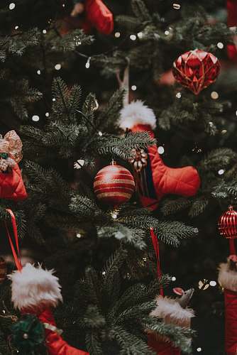 plant Christmas tree with decor lot christmas tree