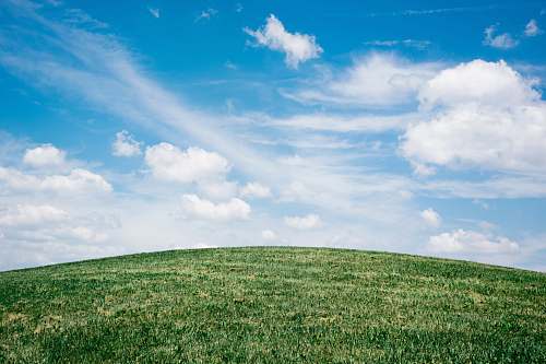 field landscape of grass field under blue sky grassland