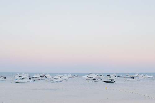 ocean lot of yachts on body of water clear blue sky outdoors