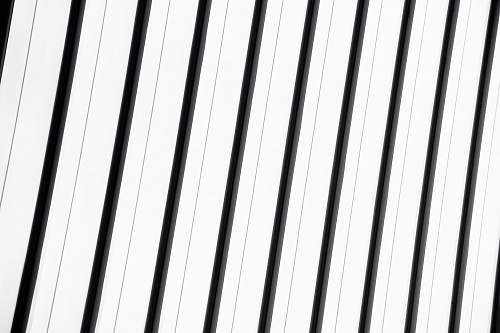 black-and-white black and white lines lines