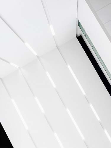 minimal closeup photo of white wooden wall texture