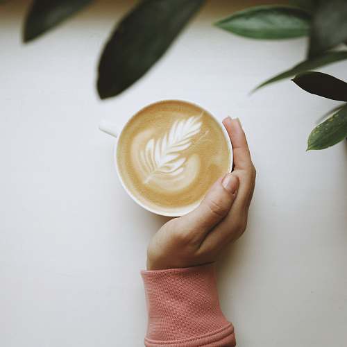 cup white ceramic cup drink