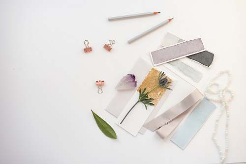 flatlay flowers on card near pencil clips