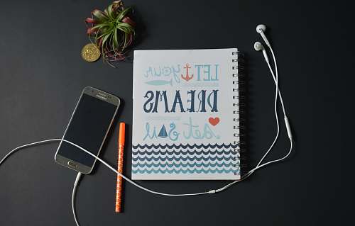 plant let your dreams set sail quote grey