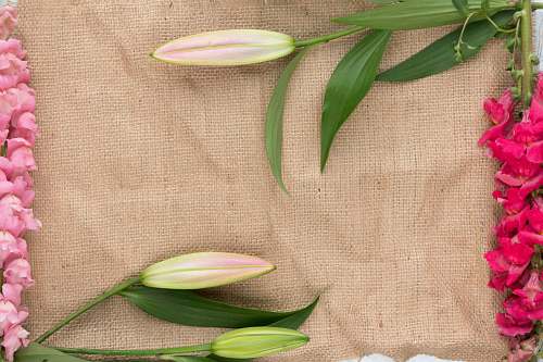 flatlay green leafed plant on brown textile brown