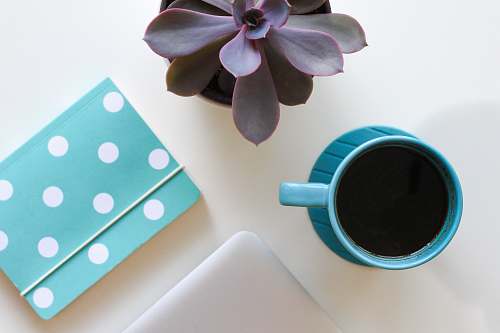 person teal ceramic teacup filled with black liquid beside potted maroon plant on white table people