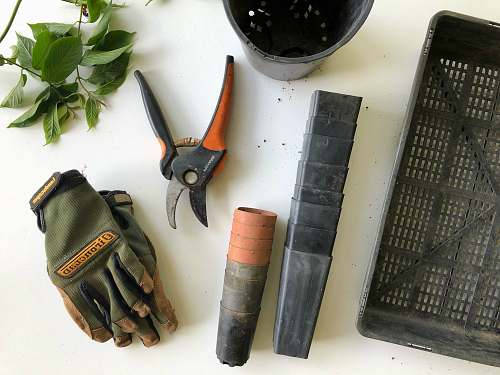 garden black pruning shears beside green gloves gardening