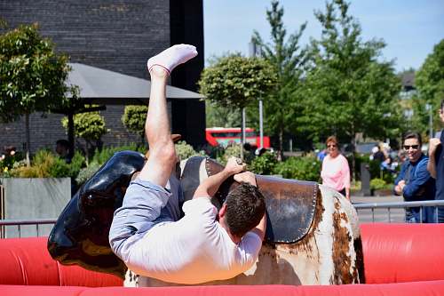 human man riding bull during daytime person