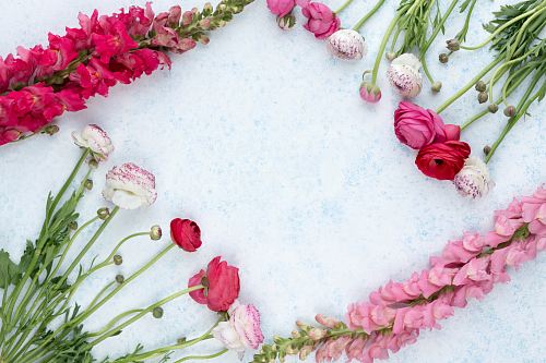 assorted-color flowers layed on white concrete surface