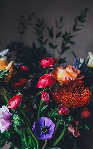 assorted petaled flowers centerpiece inside room