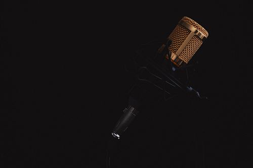 black and gray condenser microphone
