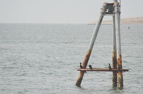 brown and gray metal