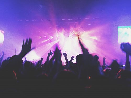 crowd of people at concert
