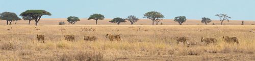 desert panorama photography