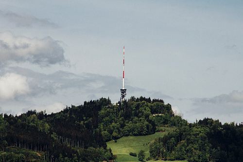 landscape photo of green trees with green grass