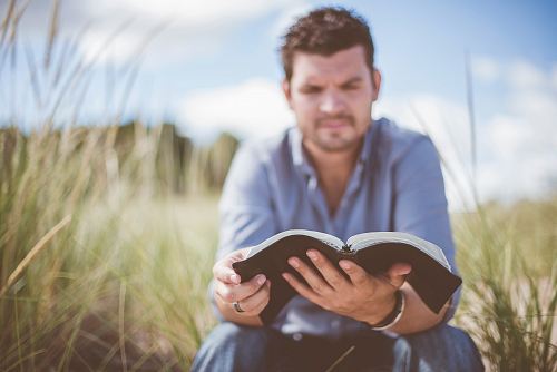 man reading book in grass field