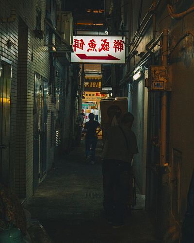 people walking on alley