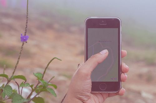 person holding iPhone