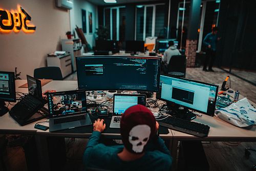 person using laptops
