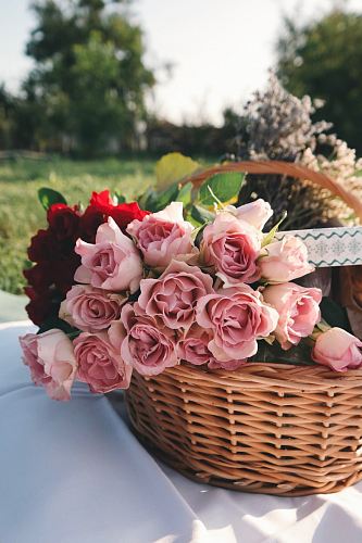 pink rose on wicker basket