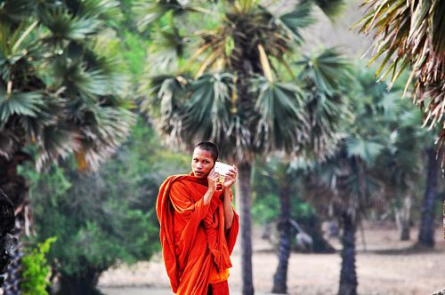 shallow focus photography of man walking