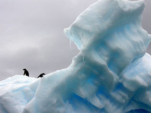 two penguins standing on top of glacier