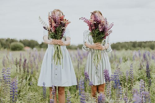 two woman holding pink petaled flowers