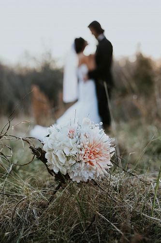 white and pink flowers