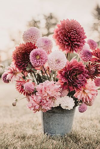 white, pink, and red flower arrangement with gray bucket during daytime