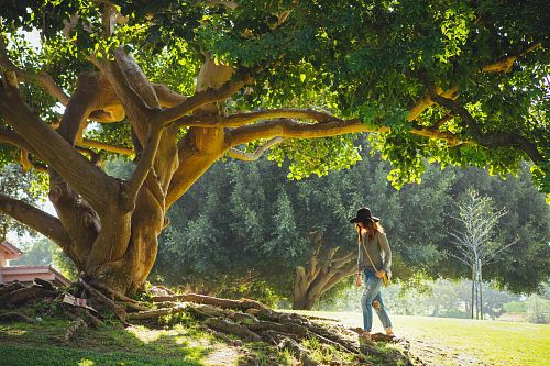 woman walking under tree during daytime