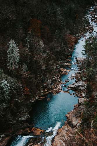 water aerial photography of body of water with trees around wallpaper