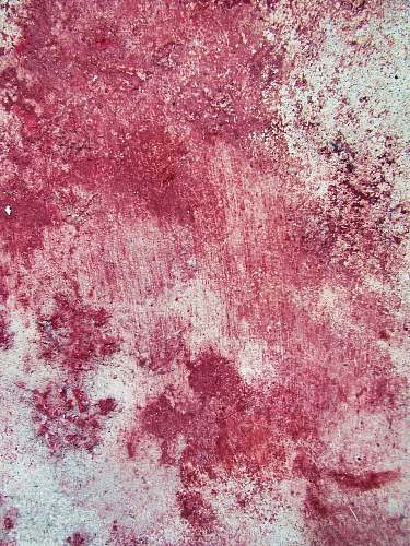 canvas  rug
