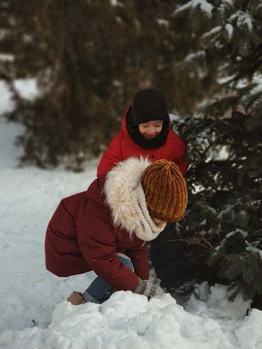  two children playing with snow near tree 
