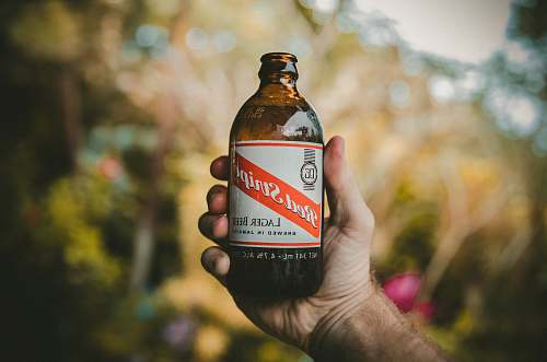 alcohol person holding Bed Script lager beer bottle shallow focus photography beer