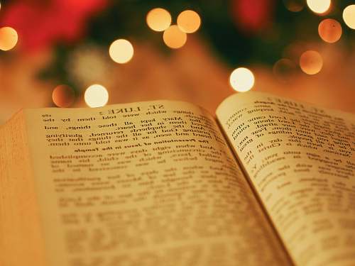 holiday opened bible with bokeh light background bible